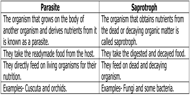 Distinguish between a parasite and a saprotroph.