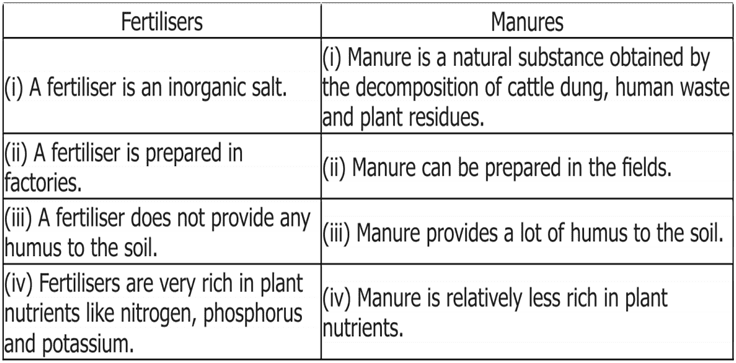 Explain how fertilisers are different from manure.